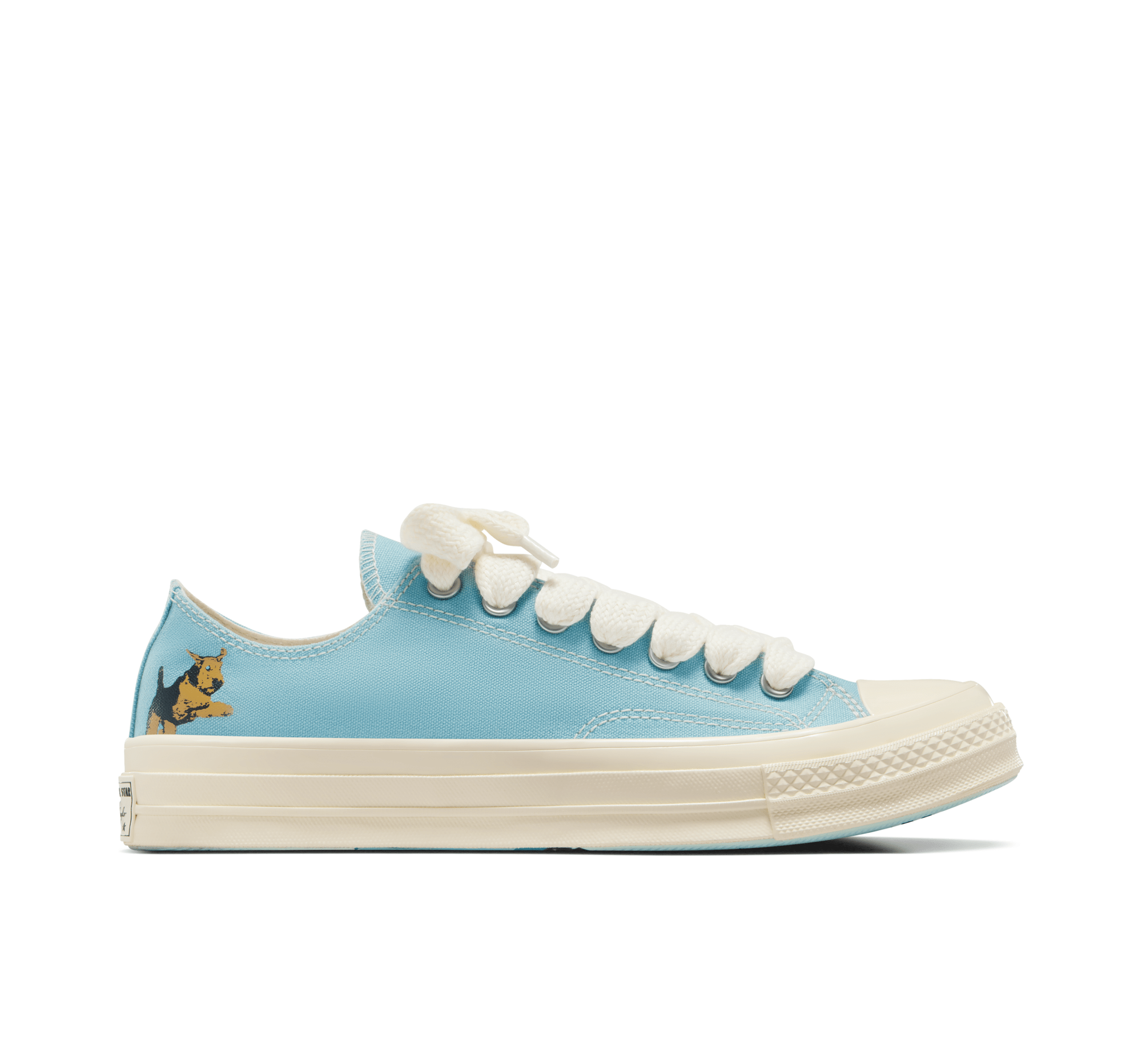 Converse x GOLF le FLEUR* Darryl Chuck 70 Margarita/Multi/Winter